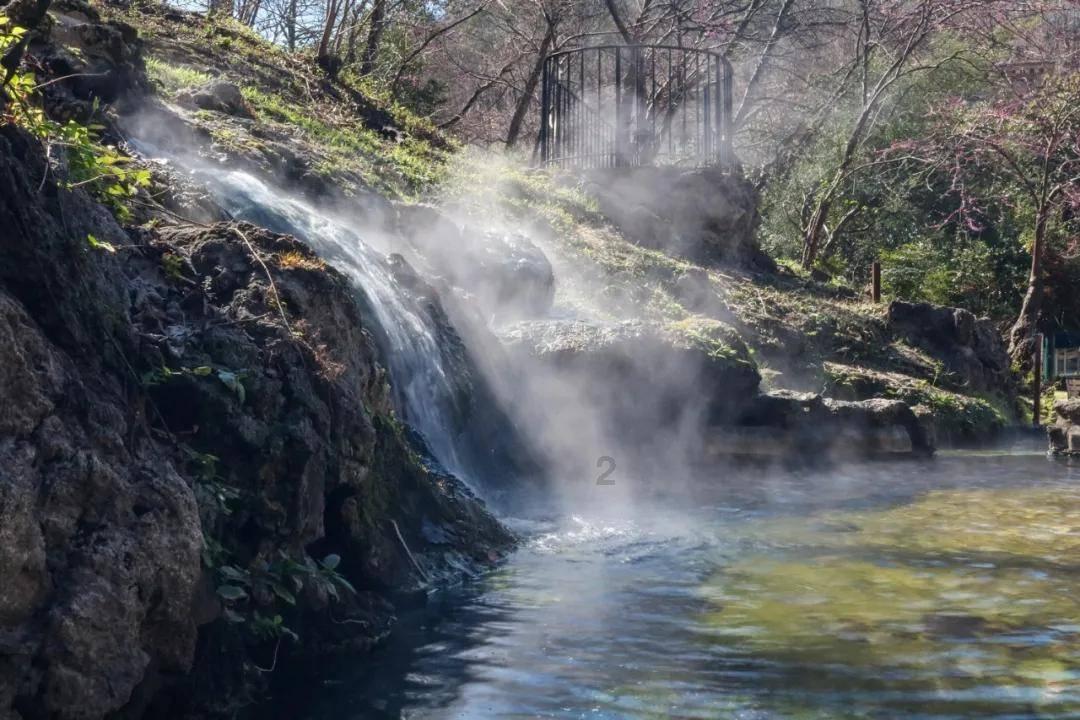 新春走基层·黄土地上的“大食物”∣一只羊的科技含量